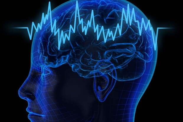Почему наш мозг видит мир не таким, какой он есть и именно это помогает вам выжить