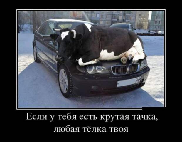 Немного новых демотиваторов