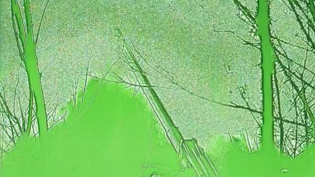 Российские артиллеристы разнесли склад боеприпасов врага на Ореховском направлении