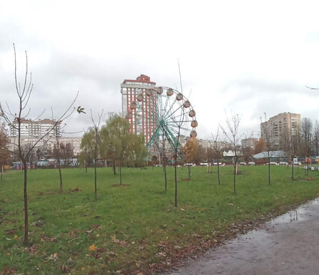 Колеса обозрения в «Диво острове» и парке Есенина выставили на продажу
