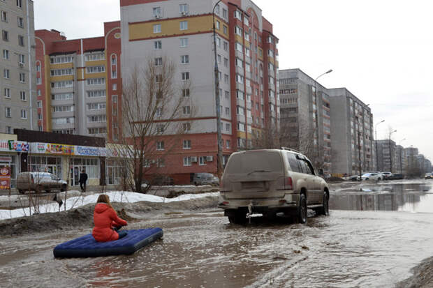 1. 1. авто, автоприколы, приколы