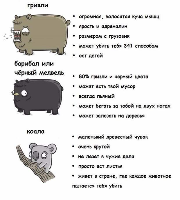 Подборка высказываний, комментов, открыток и цитат из соцсетей прикол, соцсети., юмор