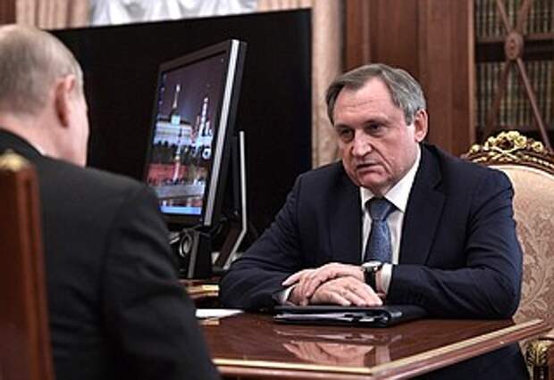 Встреча с главой компании «РусГидро» Николаем Шульгиновым