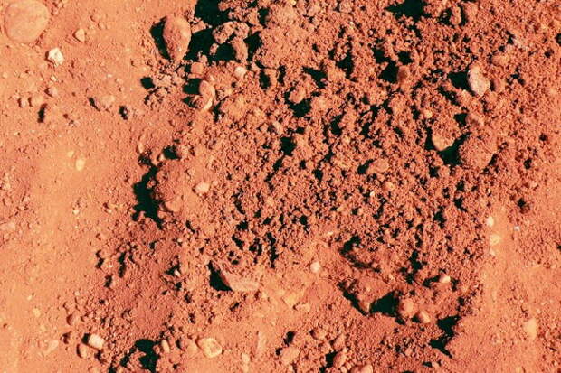 soil