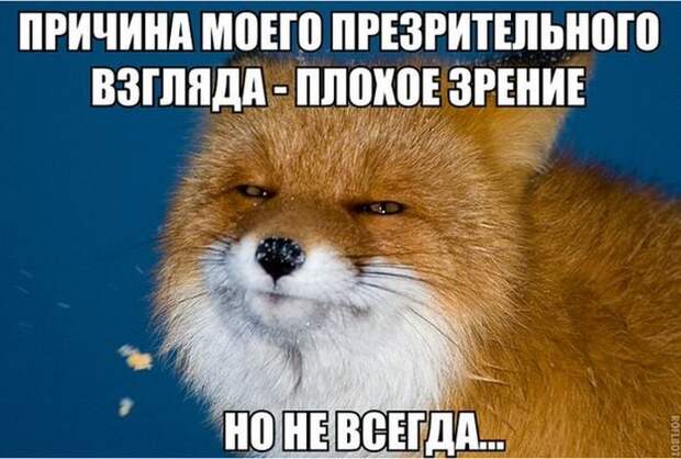 Прикольные картинки