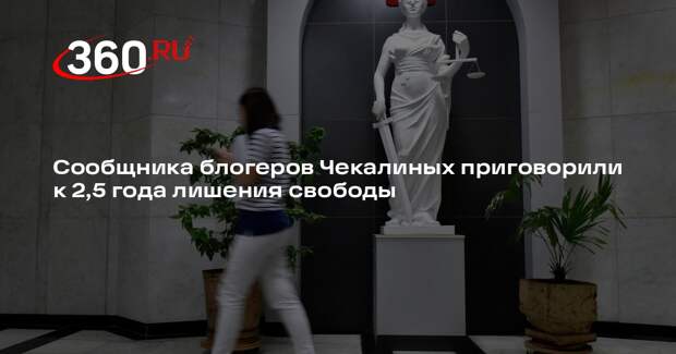 Сообщника блогеров Чекалиных приговорили к 2,5 года лишения свободы