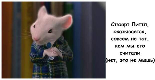 Стюарт Литтл, оказывается, совсем не тот, кем мы его считали (нет, это не мышь)