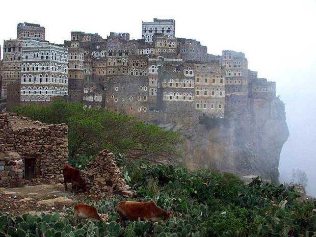 Аль-Хаджара, Йемен. Жизнь на краю обрыва дом, интересное, красиво, обрыв, строения