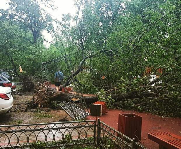 На Москву обрушился ураган (18 фото) На Москву обрушился ураган (18 фото)