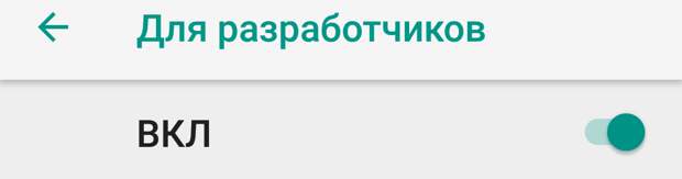 В этом же меню можно отключить режим разработчика и это секретное меню просто исчезнет
