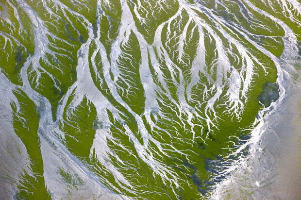 Яна Артюс–Бертран фото 18 (680x452, 394Kb)