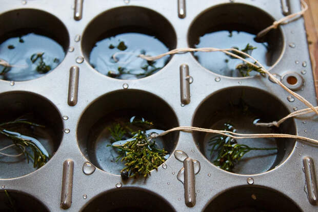 Идея: ледяные новогодние украшения для уличных деревьев