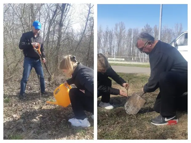 MyCollages.jpg MyCollages.jpg