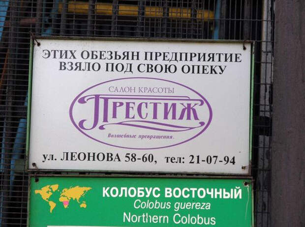 Смешные надписи и объявления надписи, объявления, приколы, смешные, юмор