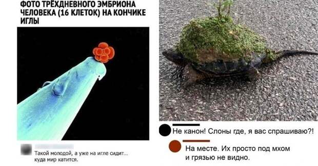 В аду есть отдельный котел для фотографирующих монитор: улетные коменты и диалоги от юмористов Сети