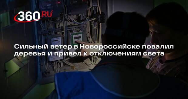 Сильный ветер в Новороссийске повалил деревья и привел к отключениям света