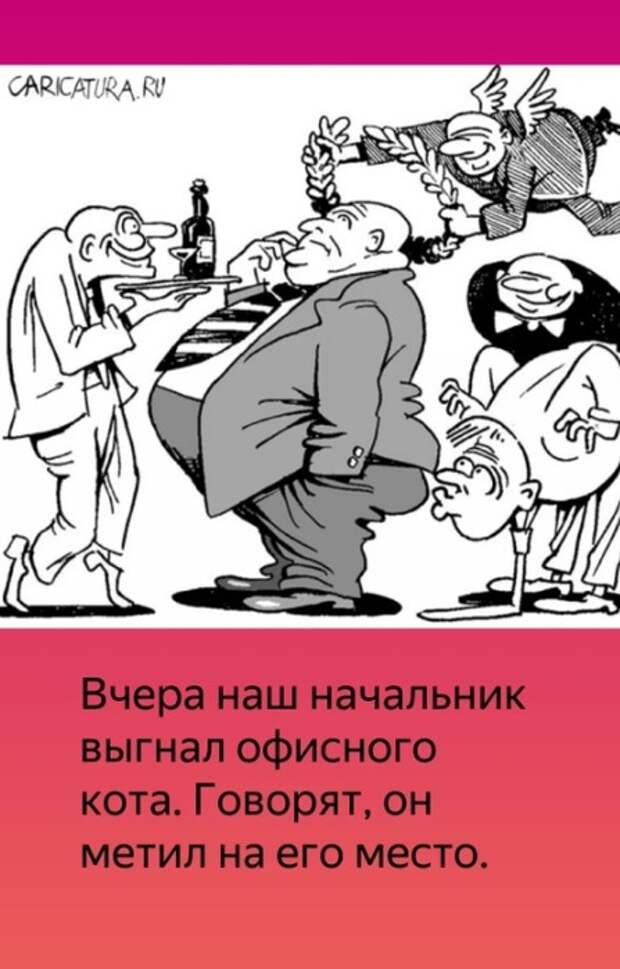 3085196_nachalnik (447x700, 87Kb)