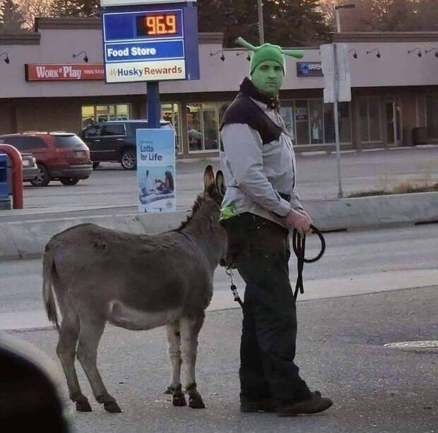 Подборка прикольных картинок