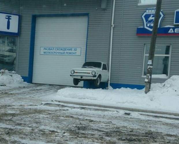 Прикольные картинки, хорошее настроение куда бы не занесло.