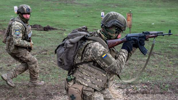 РИА Новости: ВСУ потеряли штурмовую группу в лесу у Лимана Харьковской области