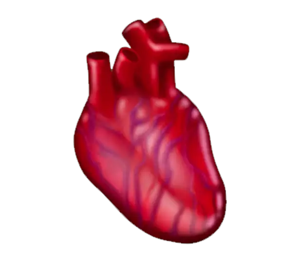 анатомическое сердце эмодзи. эмоджи сердце человека. эмоджи сердце человека. стикер сердце. смайлик настоящего сердца.