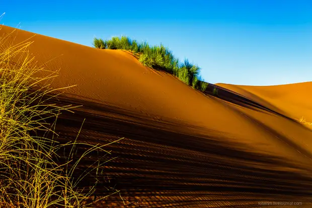 Прогулка по Сахаре