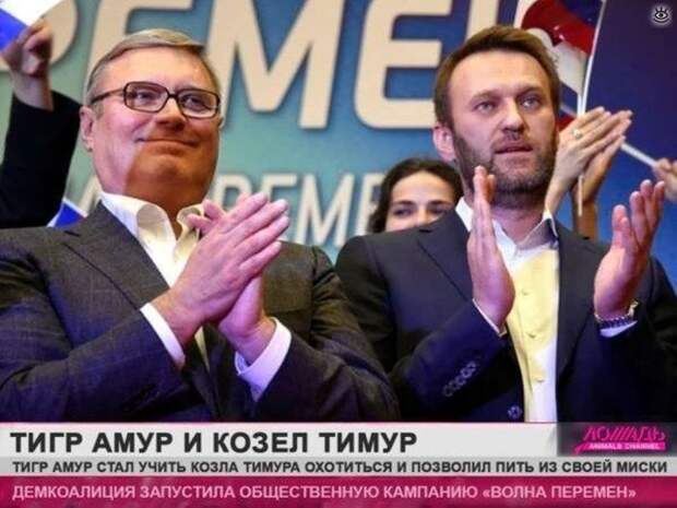 Юмор "Дождя"