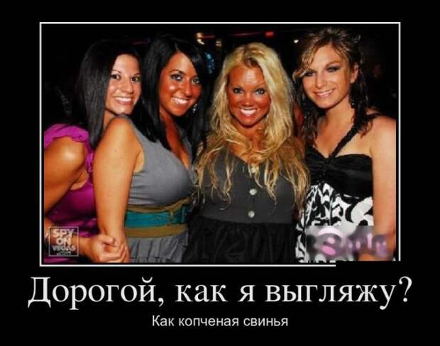 Демотиваторы (30 фото)