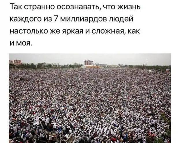 Рассуждения и мысли из серии 