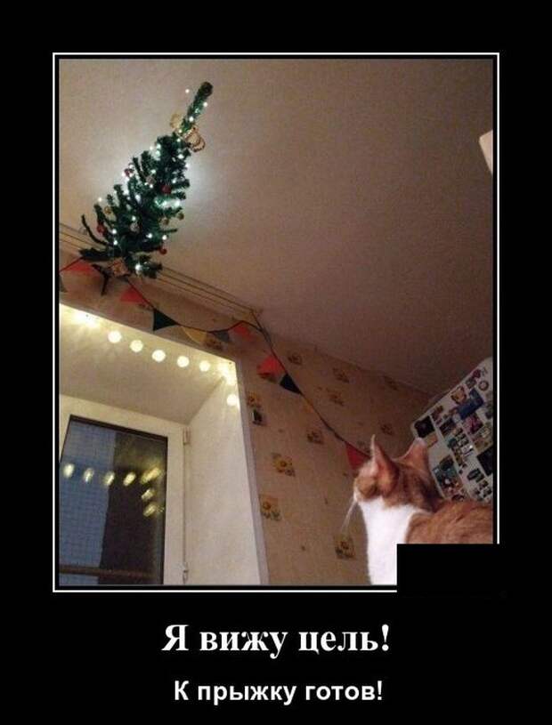 demotivatory-demotivator-smeshnye-demotivatory-demotivator-so-smyslom