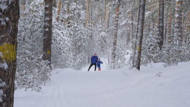 В лесу / Фото: amic.ru