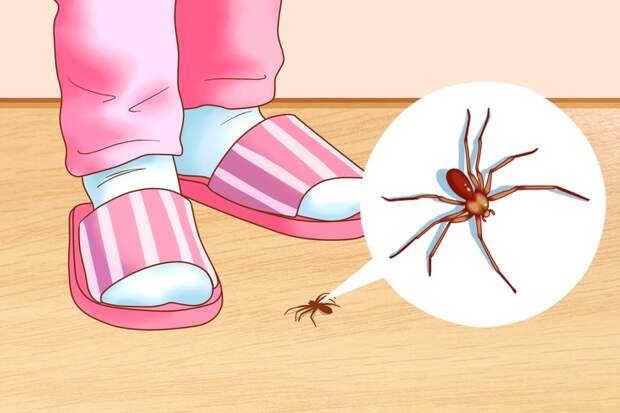 6 эффективных способов избавиться от насекомых в вашем доме