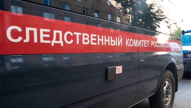 Пропавшую жительницу Красноярска обнаружили закопанной в лесном массиве