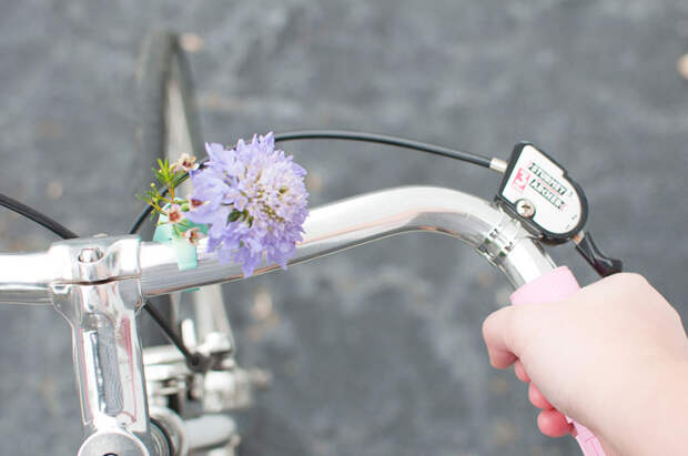 mintgeobikeplanter-1