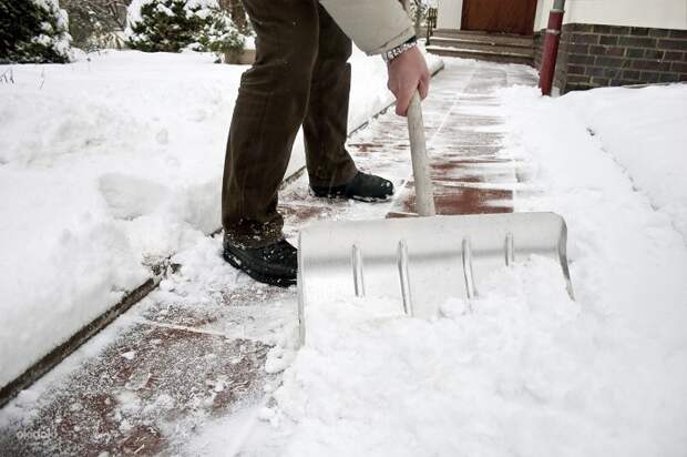 Смазывайте растительным маслом лопату, чтобы не прилипал снег. / Фото: okidoker.com