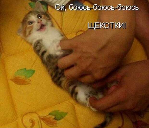 Мысли вслух :)