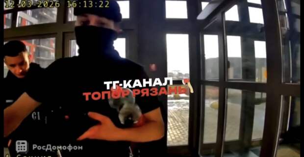 Скинхеды разгромили подъезд в рязанской новостройке