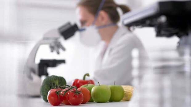 Российские ученые создали биочернила для печати растительной пищи