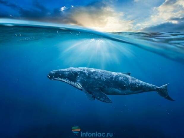 Getty Images Pro