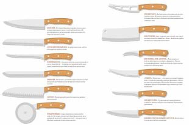 Как выбрать правильный нож? Инфографика