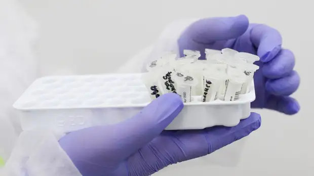 Волк-хан — о пандемии в Дагестане: ещё много людей болеет, но уже проще стало