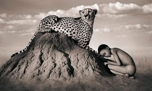 Люди и животные в фотографиях Gregory Colbert