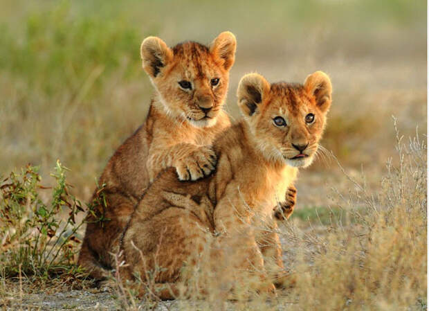 Лучшие фотографии National Geographic апреля 2014