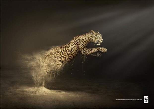 рекламные кампании о животных раскрывающие правду (12)