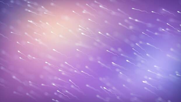 Ученые выяснили, как повысить качество сперматозоидов