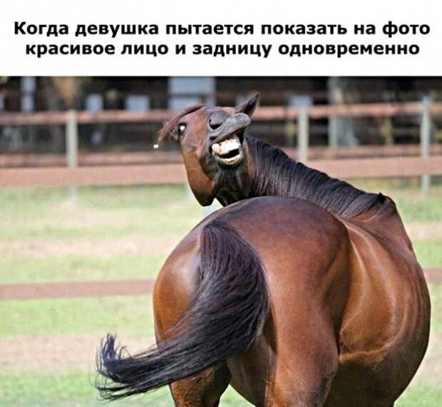 Картинки с надписями, истории и анекдоты