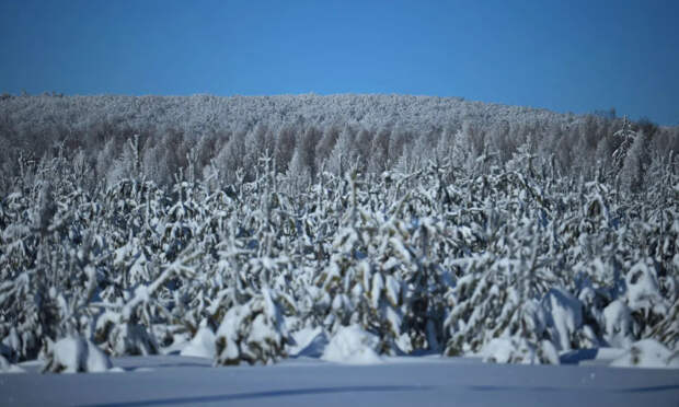 Глава АТОР Ломидзе: иностранцы едут в Россию за впечатлениями