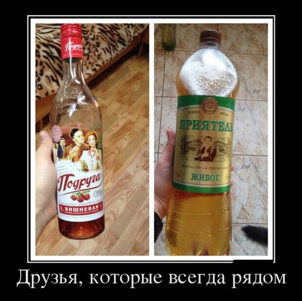 Демотиваторы (30 фото)
