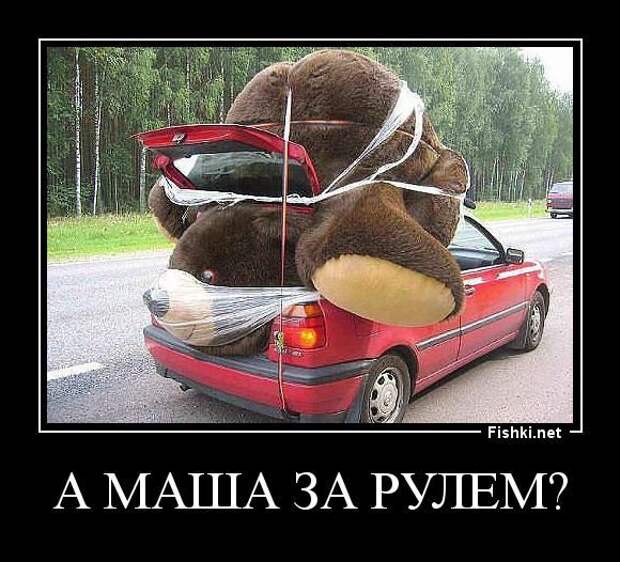 Прикольные демотиваторы