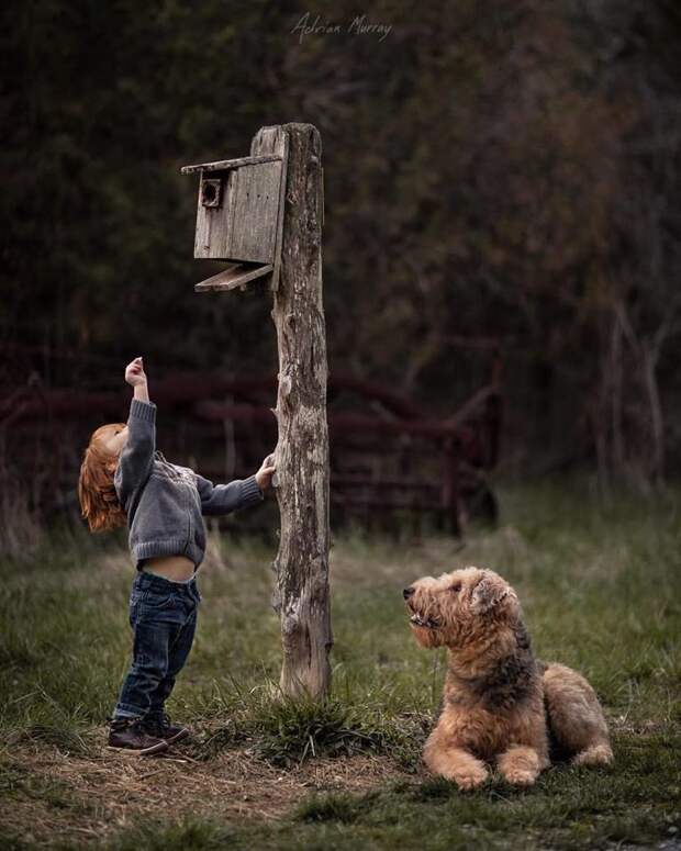 Добрый и волшебный мир детства Adrian Murray., детские фотографии, детство, фотомир